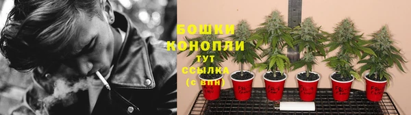 бошки Арсеньев