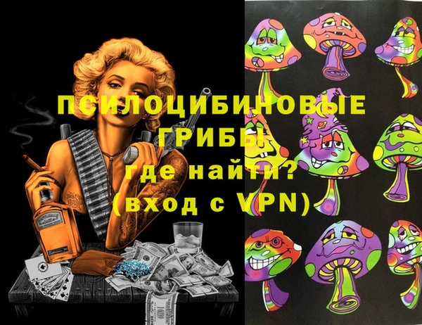дживик Армянск