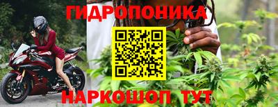 стаф Кунгур