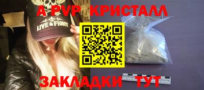 стаф Кунгур