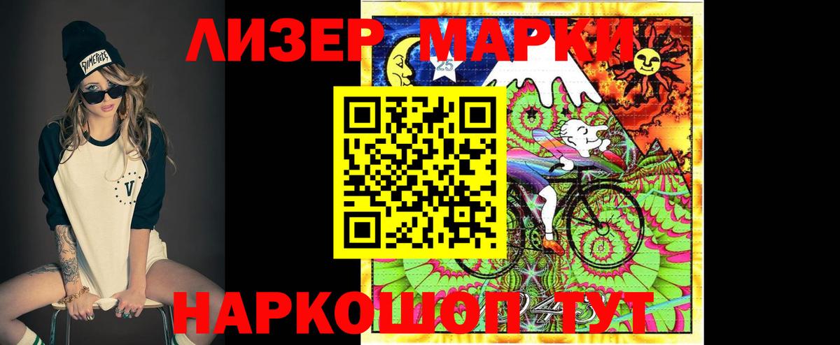 Новозыбков  Лсд 25 экстази ecstasy  Вход с VPN  Лсд 25 экстази ecstasy 