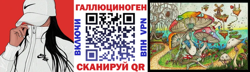 блэк спрут вход  Новозыбков  Псилоцибиновые грибы Psilocybine cubensis  купить закладку 