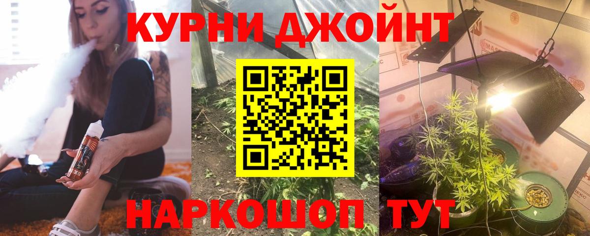 Каннабис планчик Новозыбков
